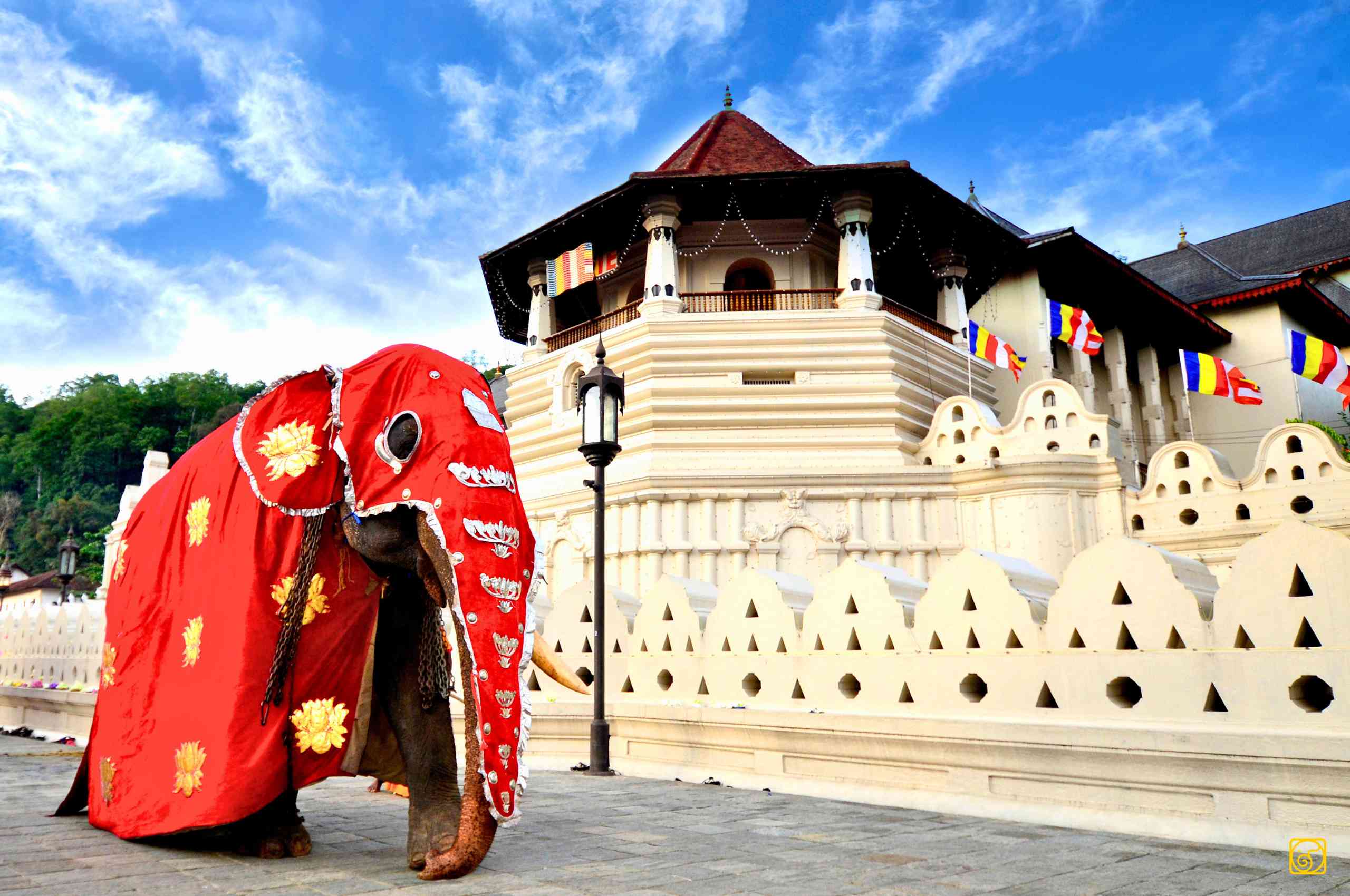 Ceremonial elephant in red and gold robes at the Temple of the Tooth Relic in Kandy